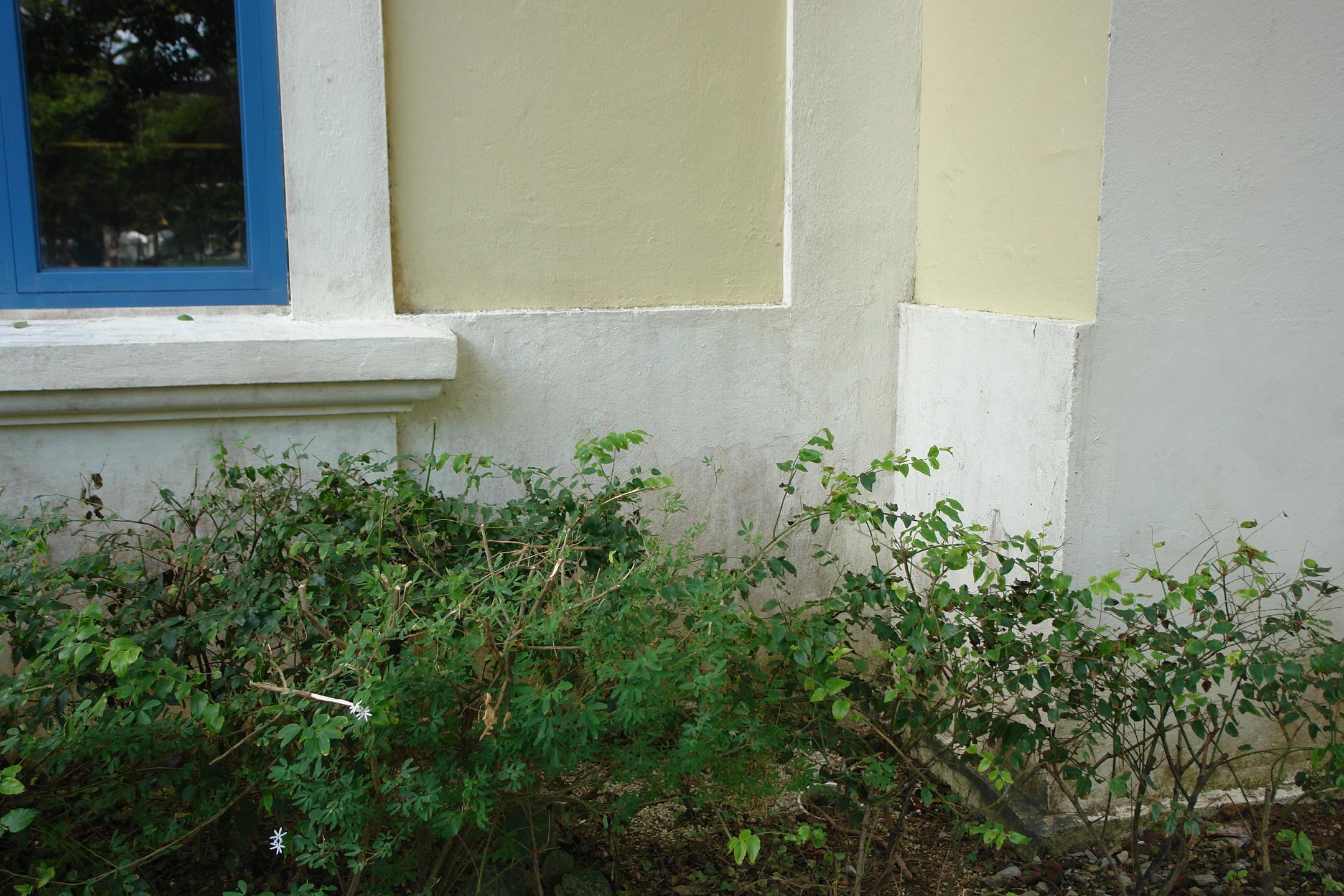 Archivo General - Antiguo Hospital Civil - San Juan (Puerta de Tierra) - 2010 00025